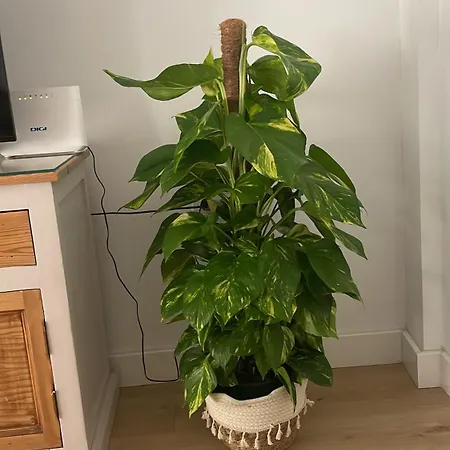 Exclusivo Cerca De La Playa Apartment